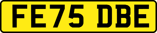 FE75DBE