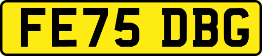 FE75DBG