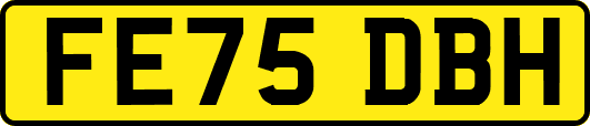 FE75DBH