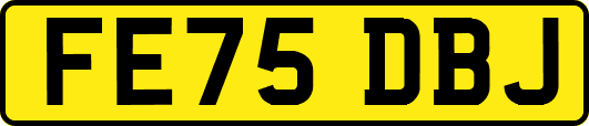 FE75DBJ