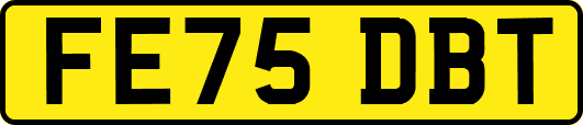 FE75DBT