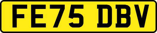 FE75DBV