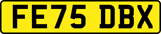 FE75DBX