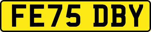 FE75DBY