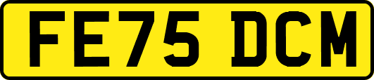 FE75DCM