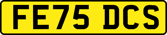 FE75DCS