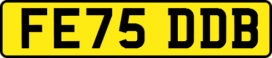 FE75DDB
