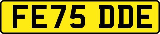 FE75DDE
