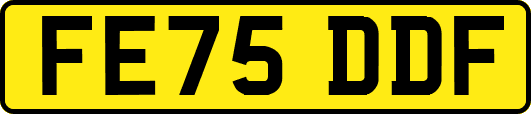 FE75DDF