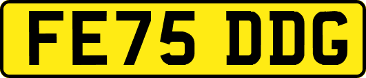 FE75DDG