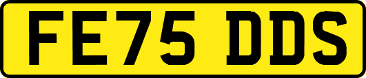 FE75DDS