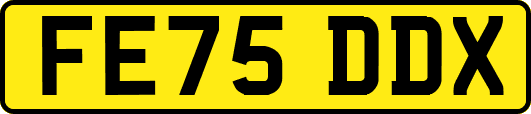 FE75DDX