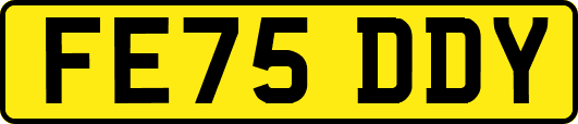 FE75DDY