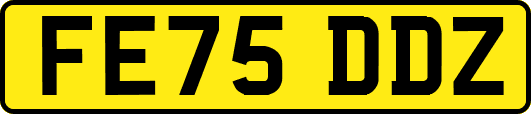 FE75DDZ