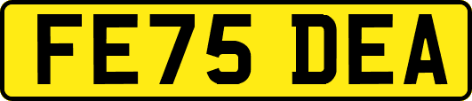 FE75DEA