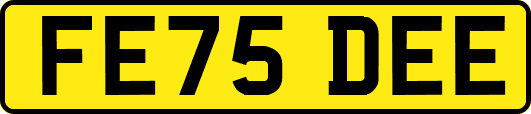 FE75DEE