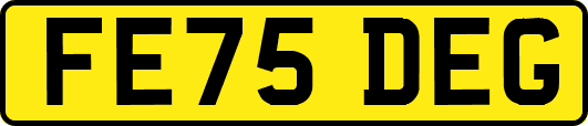 FE75DEG