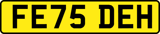 FE75DEH