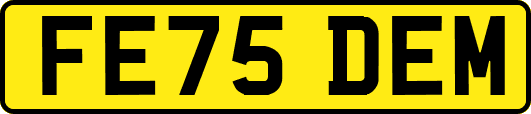FE75DEM