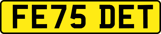FE75DET