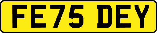 FE75DEY
