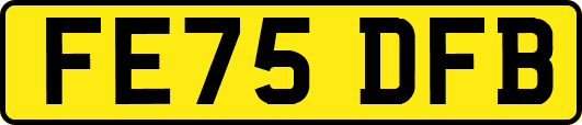 FE75DFB