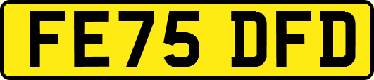 FE75DFD