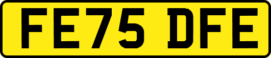 FE75DFE