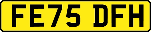 FE75DFH