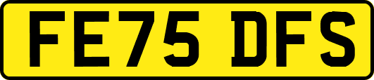 FE75DFS