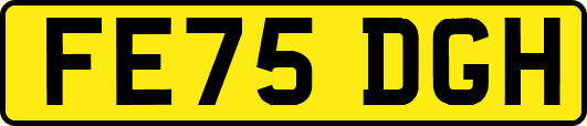 FE75DGH