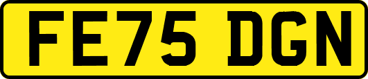 FE75DGN
