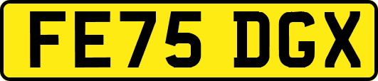 FE75DGX