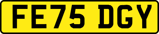 FE75DGY