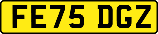 FE75DGZ