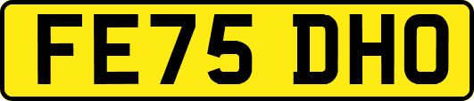 FE75DHO