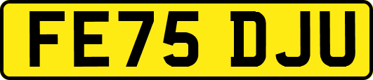 FE75DJU