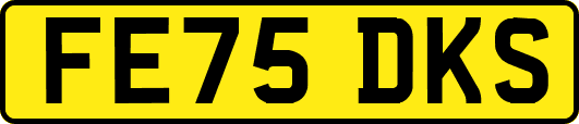 FE75DKS