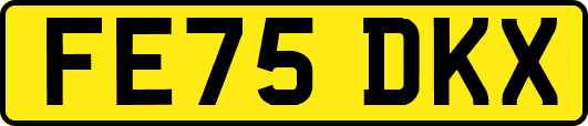 FE75DKX