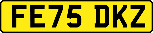 FE75DKZ