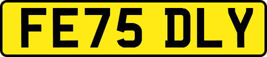 FE75DLY