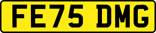 FE75DMG