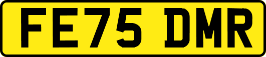 FE75DMR