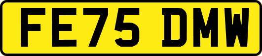 FE75DMW