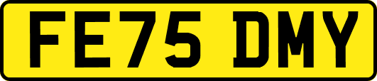 FE75DMY