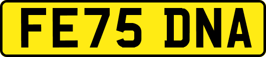 FE75DNA