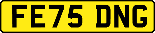 FE75DNG