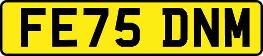 FE75DNM