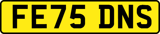 FE75DNS