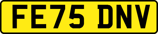 FE75DNV